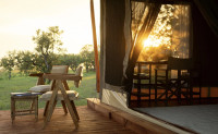 Northern Serengeti Moyo Migration Camp Mara