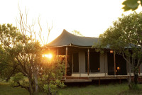 Northern Serengeti Moyo Migration Camp Mara