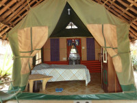 Kili Springs Camp