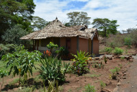 Kili Springs Camp