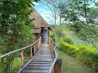 Mwamba Kelele Lodge Budget lodge less than 1hr drive from Kibale NP (Chimps, Uganda) – Day 1: Lunch & Dinner Included – Day 2: All Meals Included +9 Photos +8 Photos