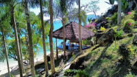 Diana Lodge