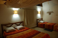 Arboretum d'Antsokay Bungalows Mid-range bungalow in Toliara (City) – Breakfast & Dinner Included +5 Photos +4 Photos