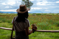 Soroi Amboseli Camp