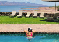 Spurwing Island Lodge