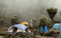 Barranco Camp Budget camping on Mt Kilimanjaro – All Meals Included +3 Photos