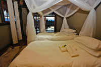 Mid-range camping Bordering Moremi GR (Okavango Delta, Botswana) without fences – All Meals Included