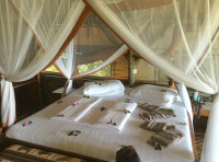 Lake Albert Safari Lodge