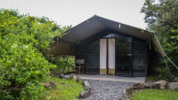 Punda Milias Nakuru Camp