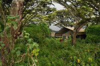 Ngorongoro Tented Camp
