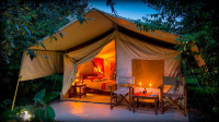 Matira Bush Camp