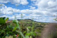 Karatu Tented Lodge