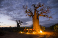Mandrare River Camp