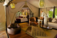 Mara Intrepids Camp