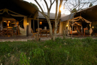 Mara Intrepids Camp