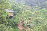 Nshongi Camp