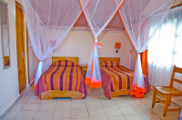 Setam Lodge Mid-range lodge just outside Ranomafana NP (Madagascar) – Breakfast & Dinner Included +7 Photos +6 Photos