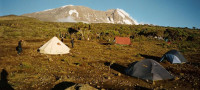Shira Camp 1 Budget camping on Mt Kilimanjaro – All Meals Included