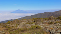 Shira Camp 1 Budget camping on Mt Kilimanjaro – All Meals Included