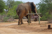 Ku Sungula Safari Lodge