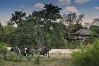 Tanda Tula Safari Camp