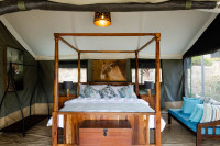 Ang'ata Migration - Ndutu Camp