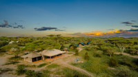 Ang'ata Migration - Ndutu Camp