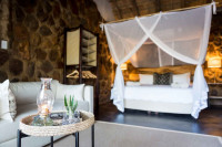 Chacma Bush Camp