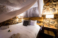 Chacma Bush Camp