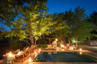 Chacma Bush Camp