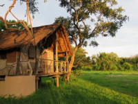 Croc Valley Camp
