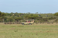 Saruni Eagle View Camp