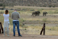 Hobatere Lodge