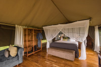 Dunia Camp