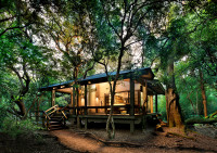 &Beyond Phinda Forest Lodge
