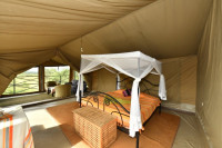 Ikoma Wild Camp