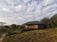 Ikoma Wild Camp