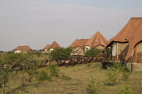 Amani Mara Camp