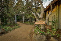 Bateleur Safari Camp