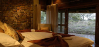 Buffalo Ridge Safari Lodge