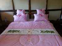 Bwindi Backpackers Lodge