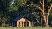 Davison's Camp