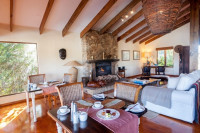 Elephant Hide of Knysna