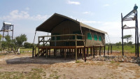 Elephant Sands Lodge Mid-range tented camp at Elephant Sands (Botswana) – All Meals Included +3 Photos