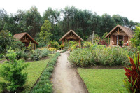 Grace Lodge Andasibe Mid-range hotel just outside Andasibe-Mantadia NP – Breakfast Included +9 Photos +8 Photos