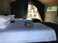 Madisa Camp