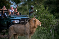 nThambo Tree Camp