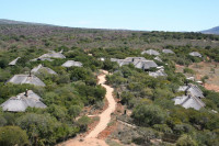 Pumba Bush Lodge