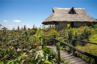 Rhino Watch Safari Lodge