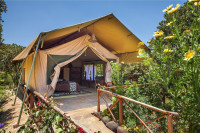 Rhino Watch Safari Lodge